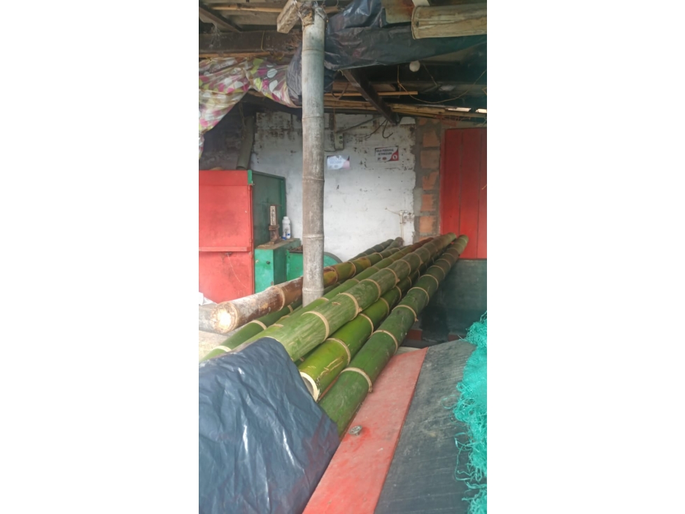 VENTA FINCA EN JARDIN, VEREDA MORRO AMARILLO - 6
