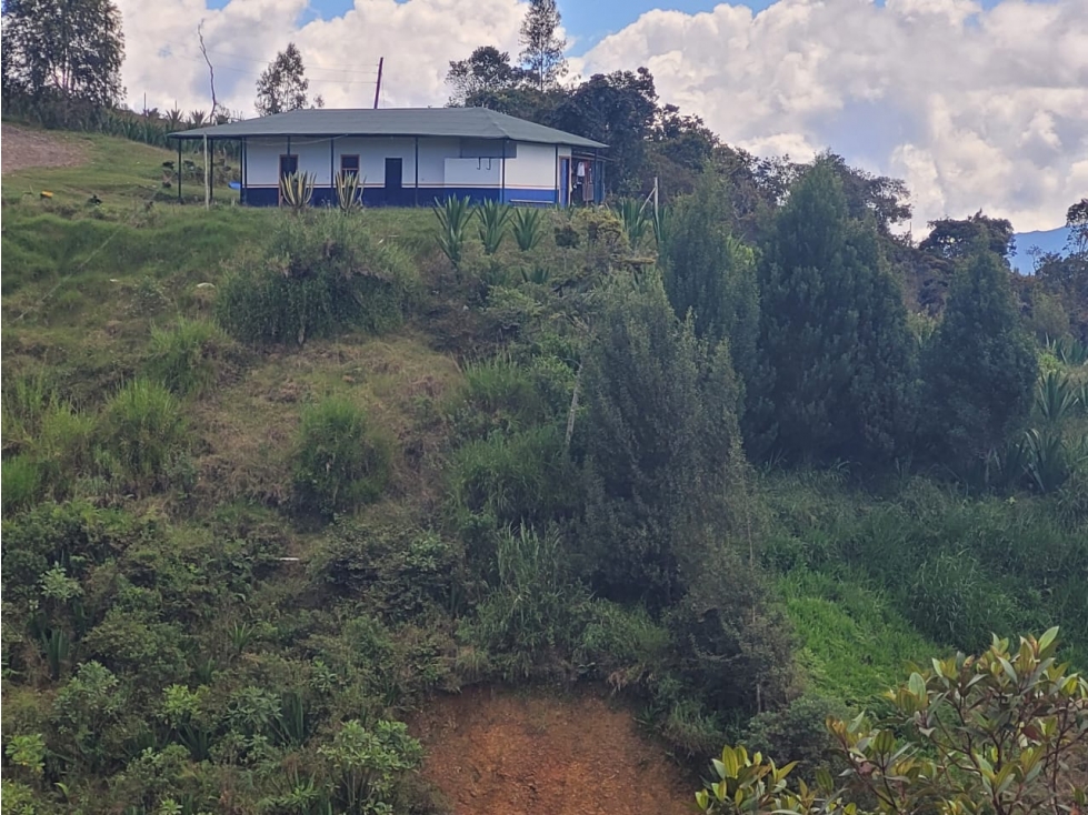 VENTA FINCA EN SAN VICENTE FERRER, ANTIOQUIA — foto 3