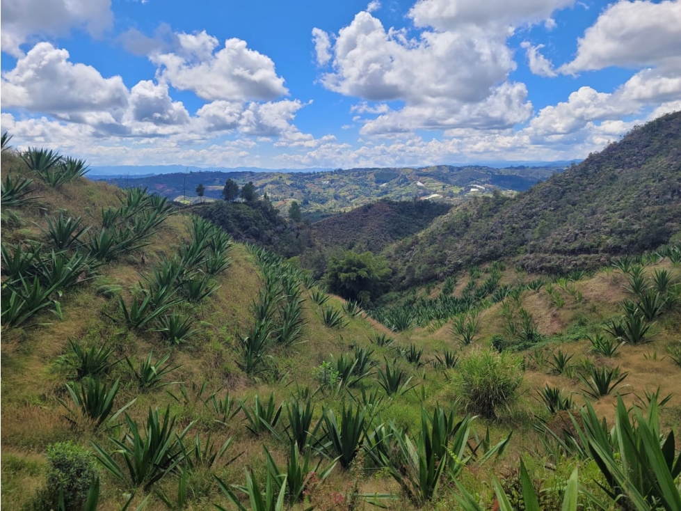 VENTA FINCA EN SAN VICENTE FERRER, ANTIOQUIA — foto 2