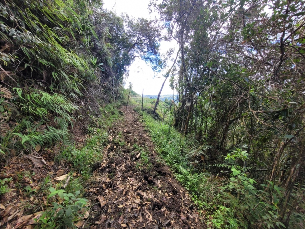VENTA FINCA EN SAN VICENTE FERRER, ANTIOQUIA — foto 6