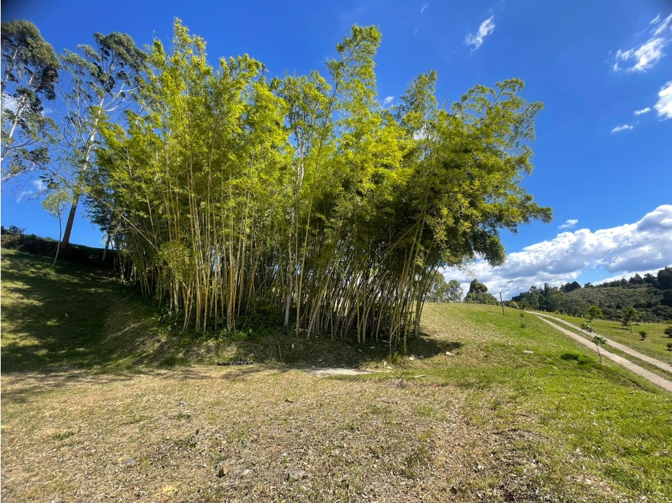 LOTE EN VENTA, EN PARCELACION, RIONEGRO VEREDA MAMPUESTO — foto 3