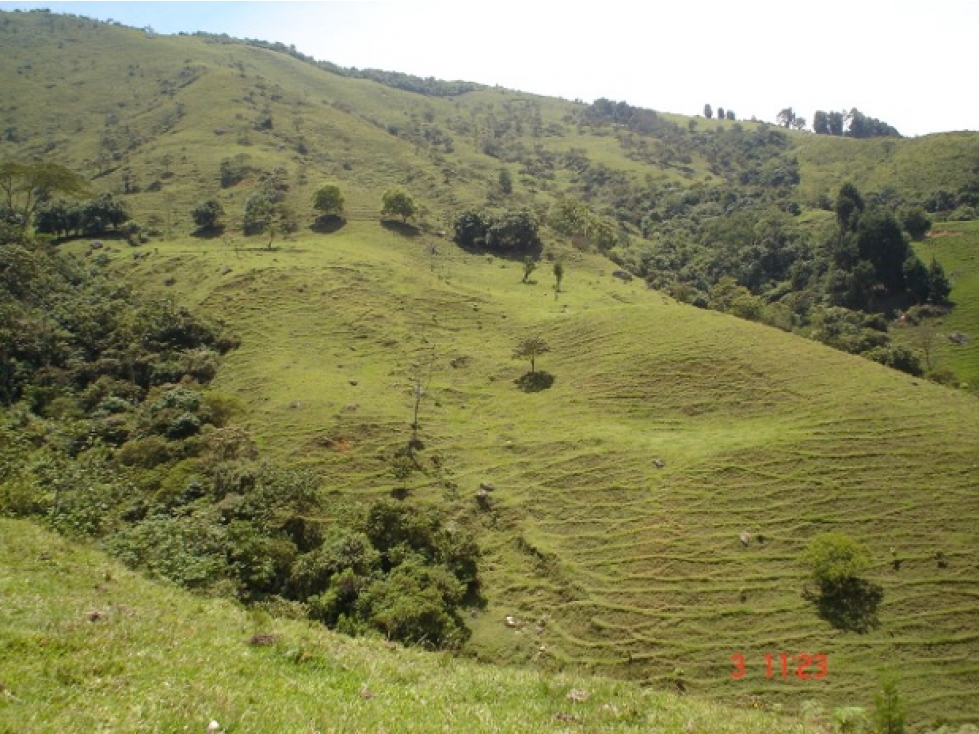 FINCA EN VENTA, SAN ANTONIO DE PRADO VEREDA LA VERDE — foto 2