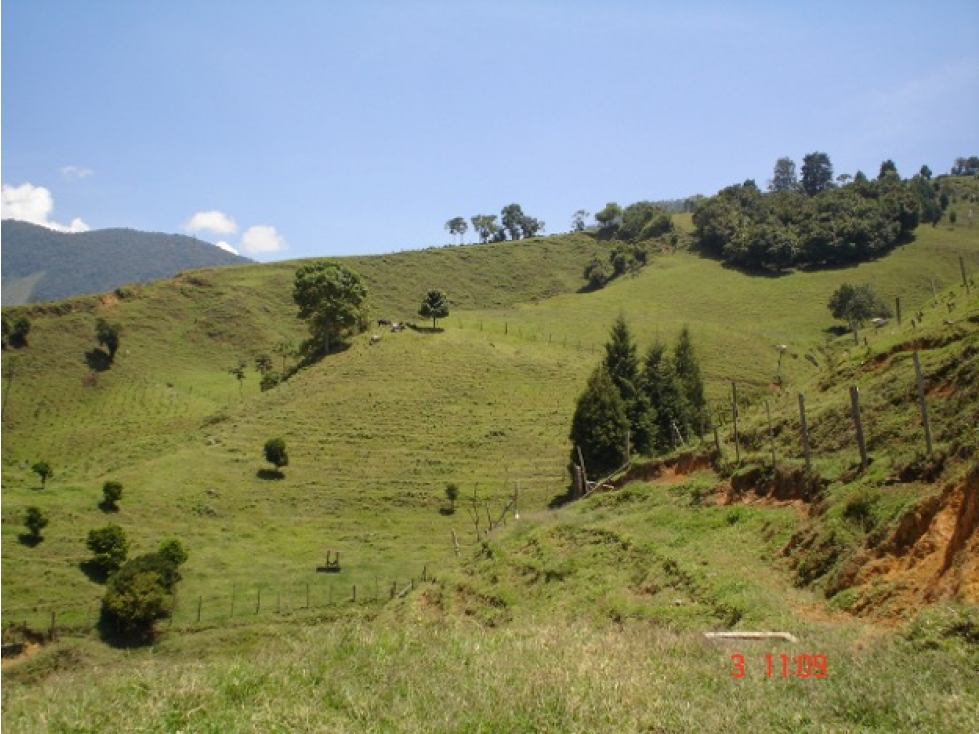 FINCA EN VENTA, SAN ANTONIO DE PRADO VEREDA LA VERDE — foto 3
