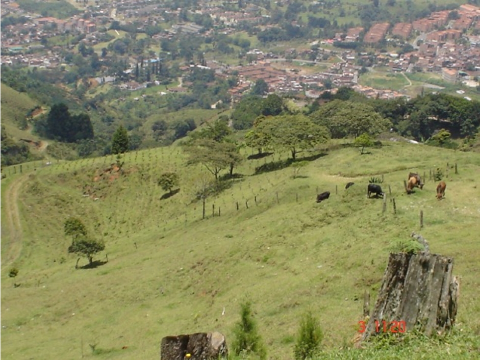 FINCA EN VENTA, SAN ANTONIO DE PRADO VEREDA LA VERDE — foto 4
