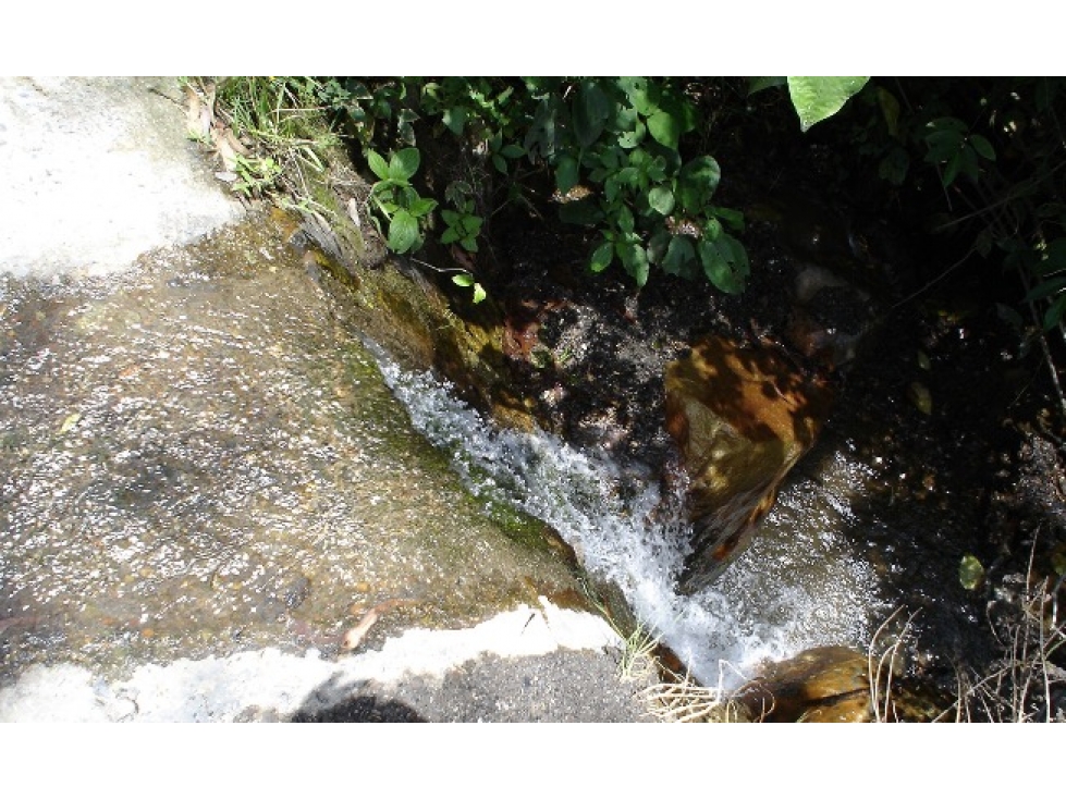 FINCA EN VENTA, SAN ANTONIO DE PRADO VEREDA LA VERDE — foto 5