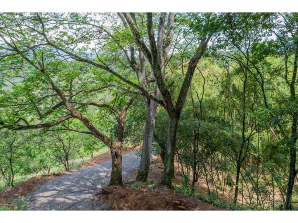 LOTE CON PRECIO DE OPORTUNIDAD EN SOPETRAN — foto 4
