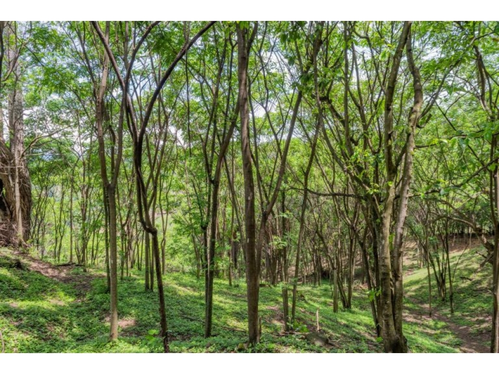 LOTE CON PRECIO DE OPORTUNIDAD EN SOPETRAN — foto 5