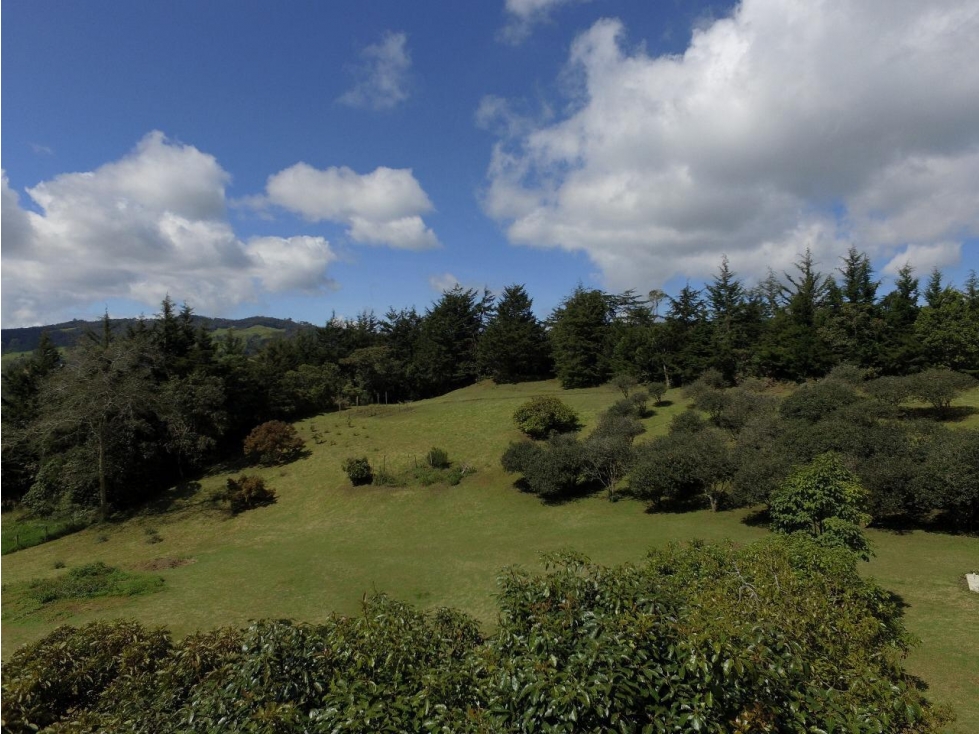 Venta Finca en Pantanillo., Envigado — foto 3