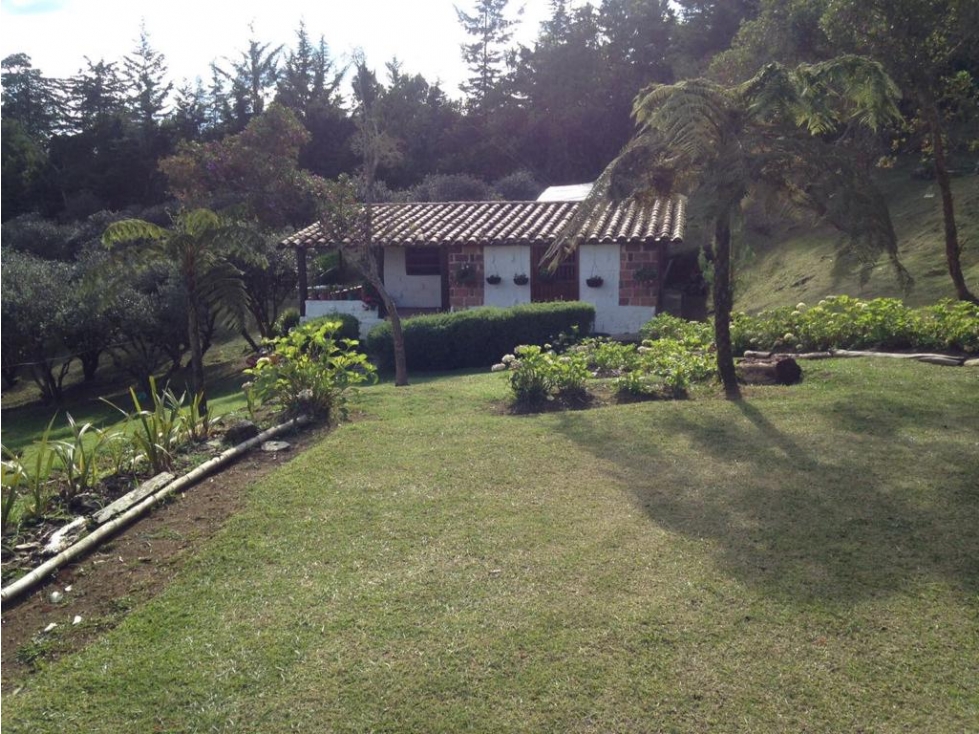 Venta Finca en Pantanillo., Envigado — foto 5
