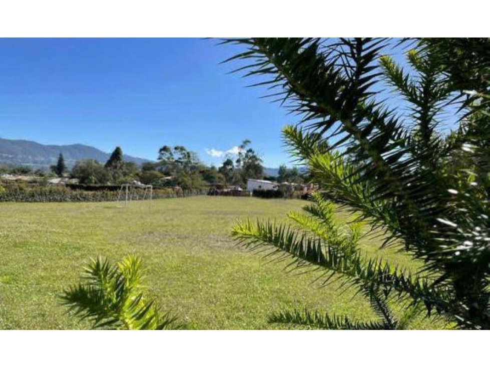 VENTA LOTE EN PARCELACIÓN EN LA CEJA, VEREDA SAN NICOLAS — foto 2