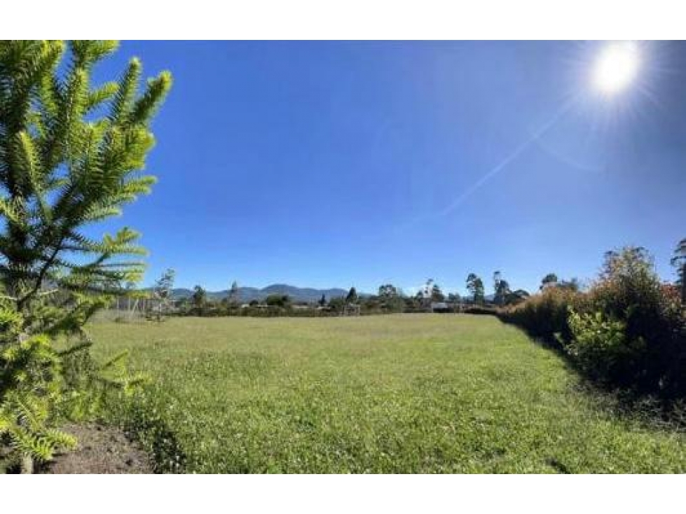 VENTA LOTE EN PARCELACIÓN EN LA CEJA, VEREDA SAN NICOLAS — foto 3