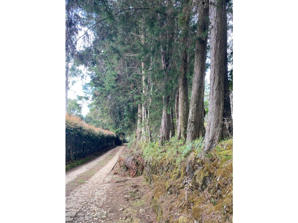VENTA LOTE INDEPENDIENTE EN RIONEGRO, VEREDA LA MOSQUITA — foto 4