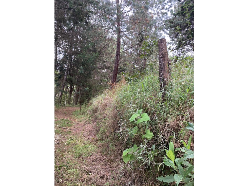 VENTA LOTE INDEPENDIENTE EN RIONEGRO, VEREDA LA MOSQUITA — foto 5