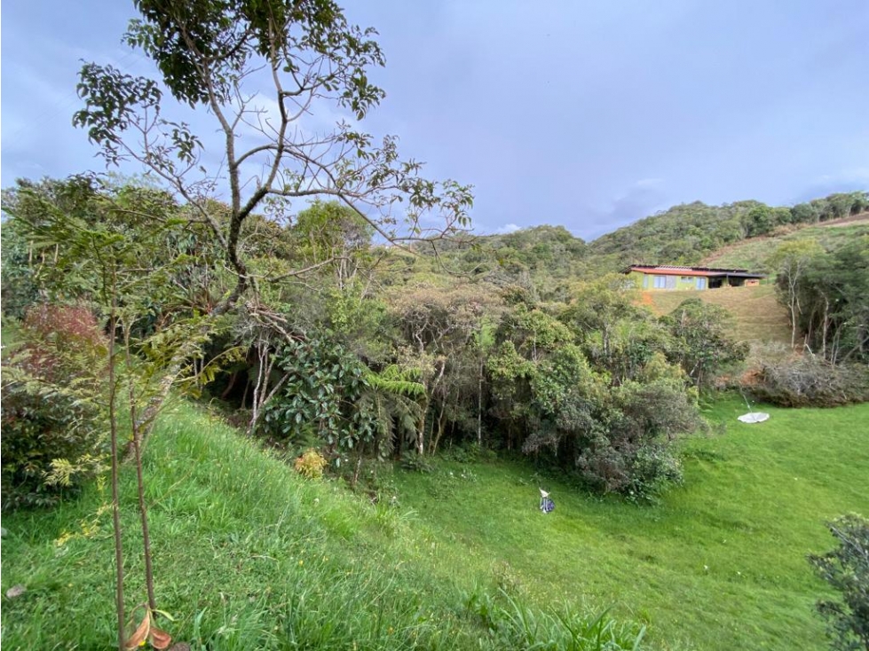 VENTA CASA FINCA EN ENVIGADO, VEREDA PANTANILLO — foto 4