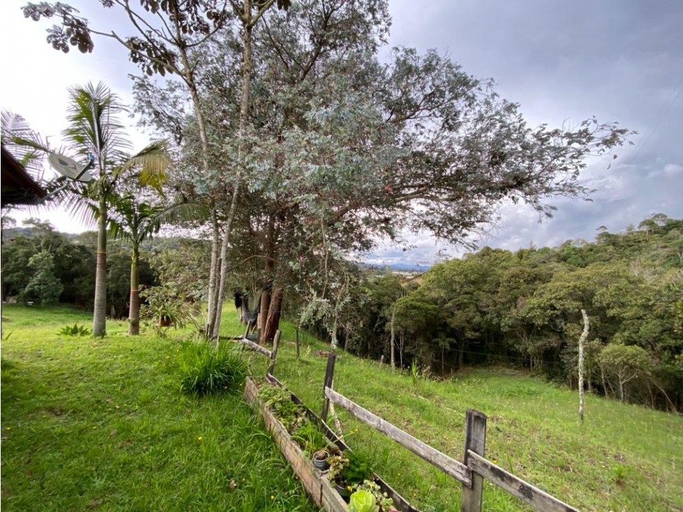 VENTA CASA FINCA EN ENVIGADO, VEREDA PANTANILLO — foto 5