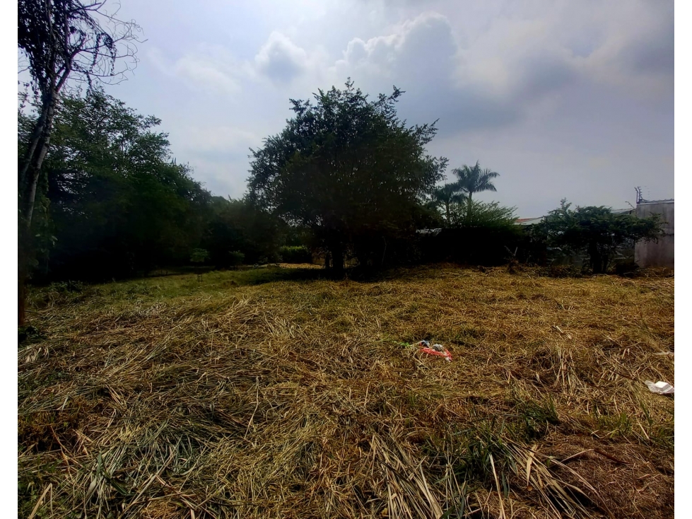 SE VENDE LOTE EN PANCE XU10259828 — foto 2