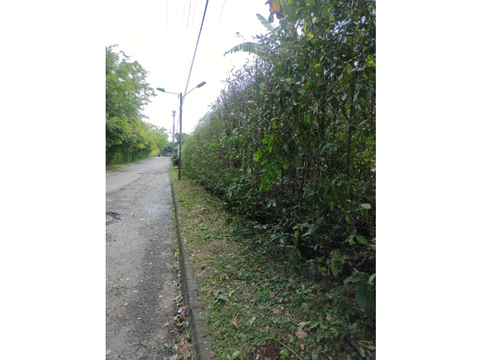 SE VENDE LOTE EN PANCE XU10259828 — foto 6