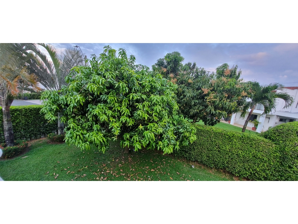 VENDO CASA CAMPESTRE EN LA MORADA JAMUNDI W10311779 XU - 4