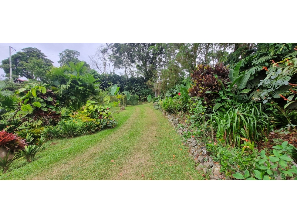 Vendo Finca en el Km 26 Dagua Via al mar W10311530 XU — foto 3