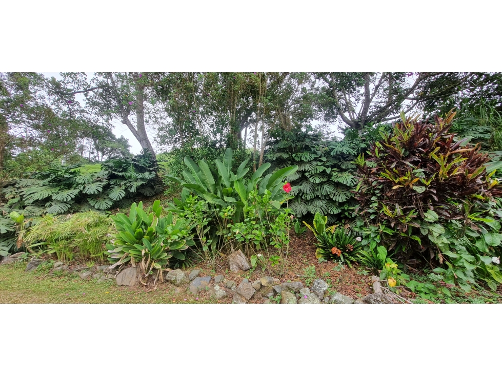 Vendo Finca en el Km 26 Dagua Via al mar W10311530 XU — foto 4