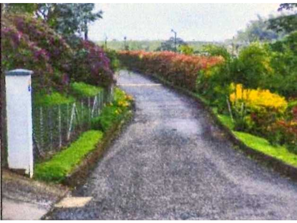 Se vende Lote terreno, area 2.483 mt2 pereira risaralda LL10074805 - 1