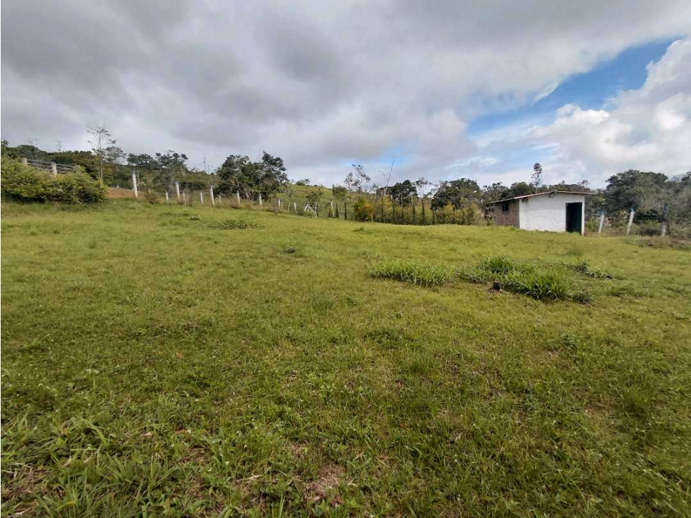 VENDO LOTE EN EL CARMEN 3.427 M2 ALG- LL 7726455