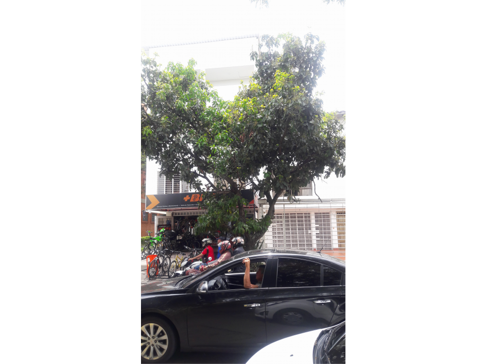 VENDO EDIFICIO DE APTOS Y LOCALES EN EL LIMONAR, SUR CS 7211741 - 1