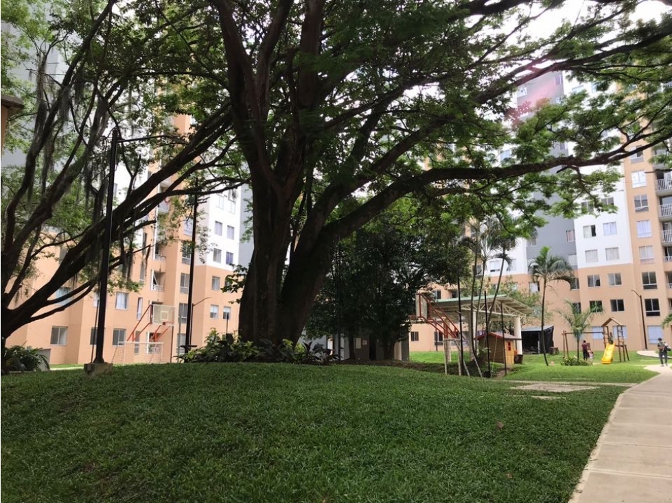 VENDO LINDO APARTAMENTO EN EL AGUACATAL CS 7211754 — foto 6