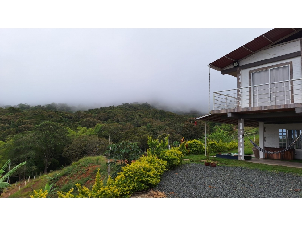 SE VENDE FINCA VIA TOCOTA VEREDA SAN BERNARDO - YP - 7038924 - 3