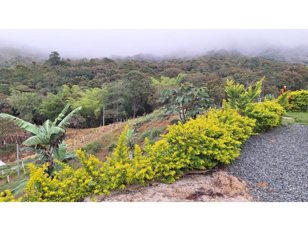 SE VENDE FINCA VIA TOCOTA VEREDA SAN BERNARDO - YP - 7038924 - 5