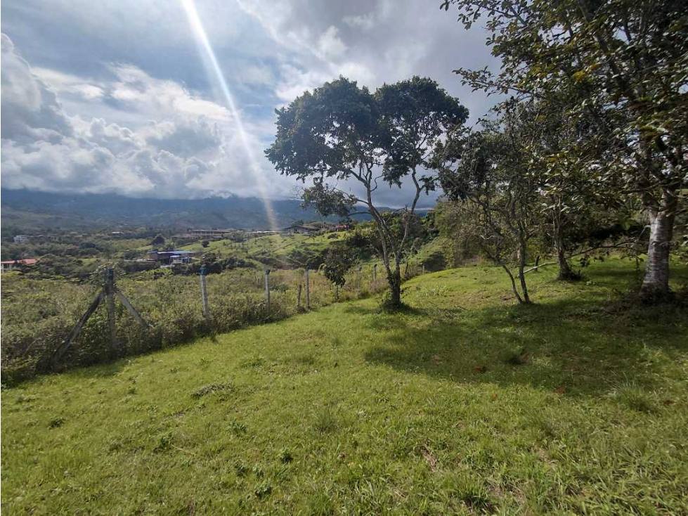 VENDO LOTE EN EL CARMEN 3.427 M2 ALG 7726455 — foto 3