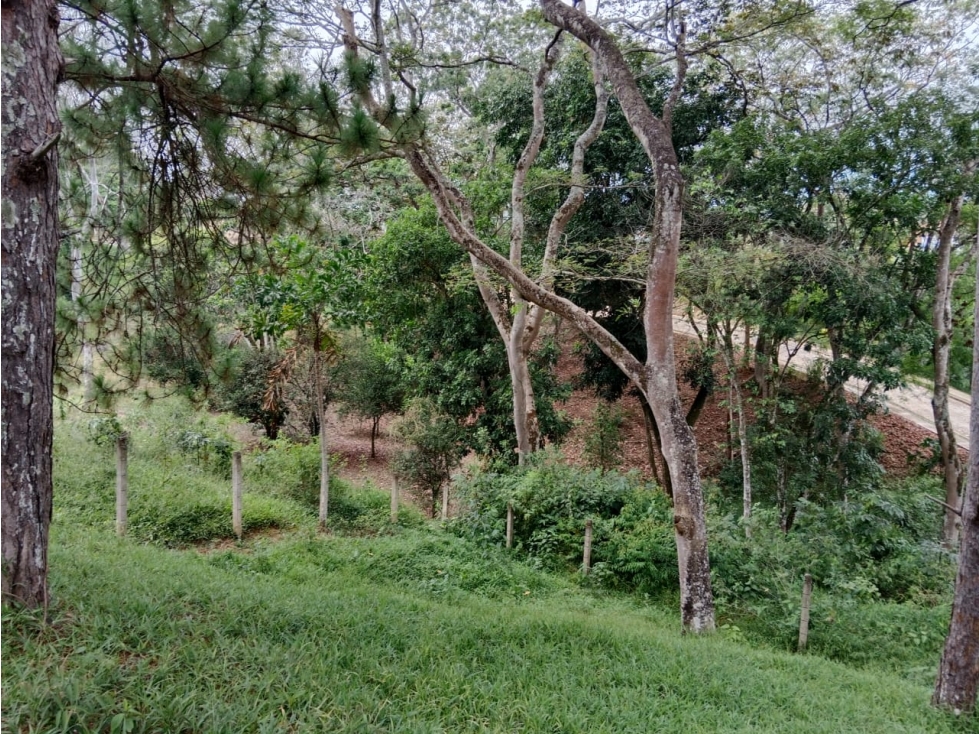 PARCELACION CAMPESTRE LOTE #1 JAMUNDI ALG - 4