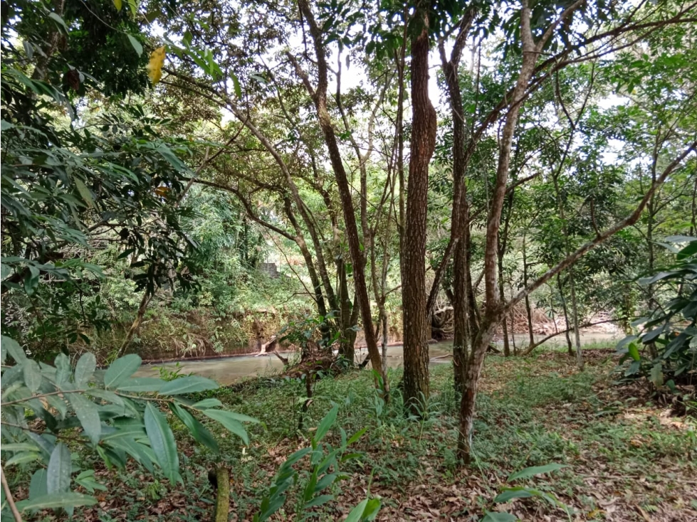 PARCELACION CAMPESTRE LOTE #1 JAMUNDI ALG - 6