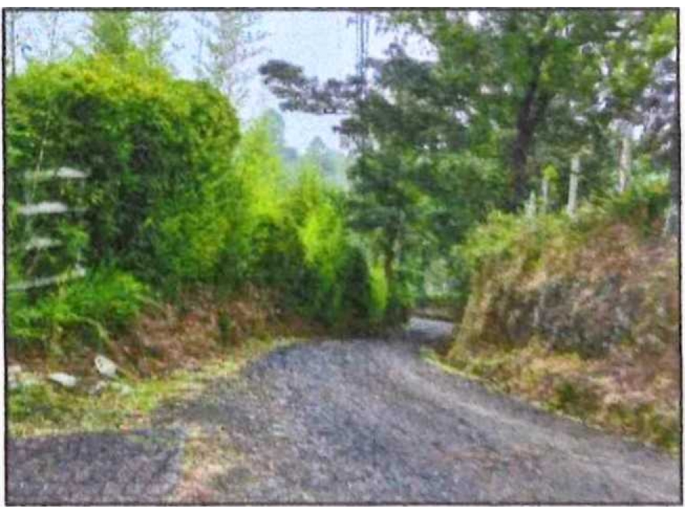 Se vende Lote terreno, area 2.483 mt2 pereira risaralda LL10074805 - 3