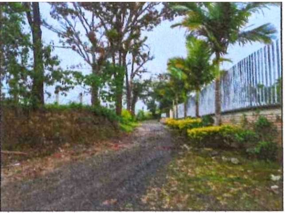 Se vende Lote terreno, area 2.483 mt2 pereira risaralda LL10074805 - 4