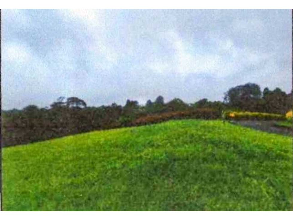 Se vende Lote terreno, area 2.483 mt2 pereira risaralda LL10074805 - 5