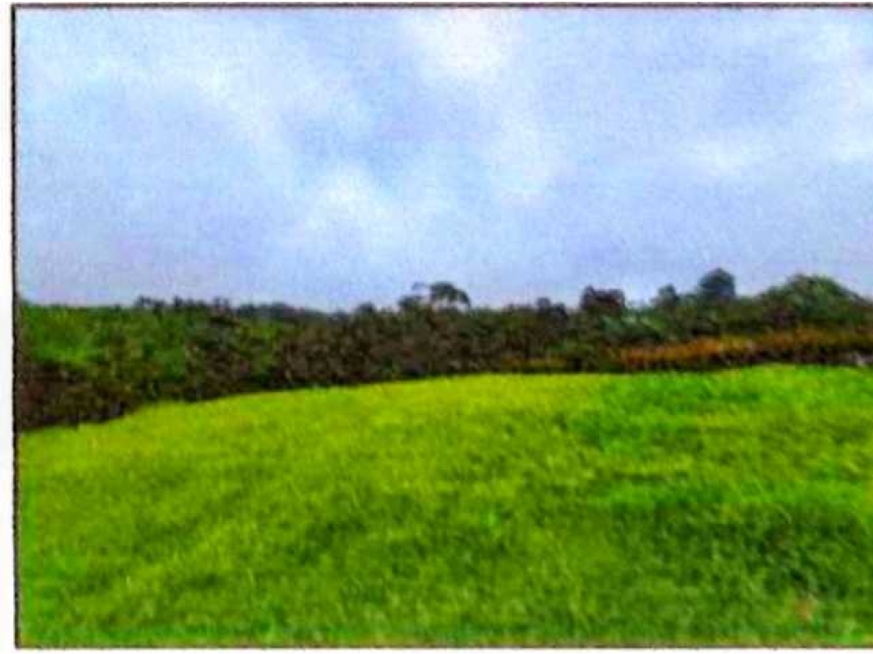 Se vende Lote terreno, area 2.483 mt2 pereira risaralda LL10074805 - 6