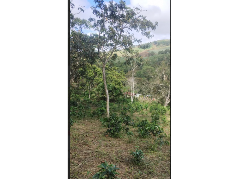 venta / permuta finca Dagua LY8306394 — foto 2