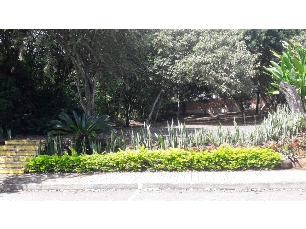 Vendo Lote - Barrio Pance - YP - AG - 9955473 — foto 5