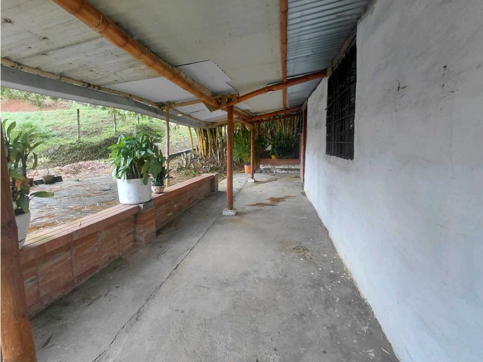 Lote campestre en La Buitrera km 6.5 LL9886097 — foto 5