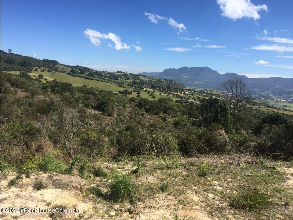 Lote en Chia (Cundinamarca) RAH CO: 26-456 — foto 6