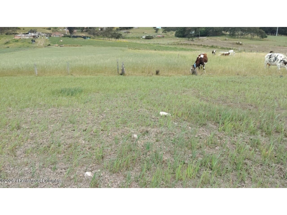 Lote en Bogota (Bogota D.C.) RAH CO: 26-1044 — foto 4
