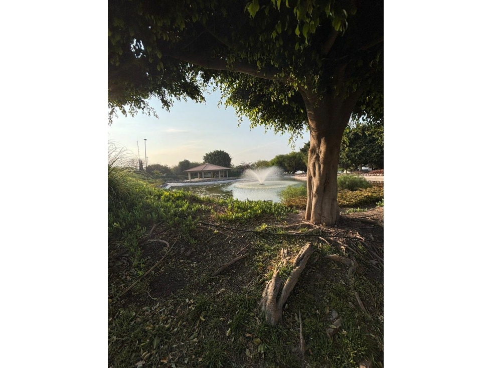Casa en venta en Real del Bosque, 3 Recámaras, 2.5 Baños. C.197 m2, Hermosa ! - 2