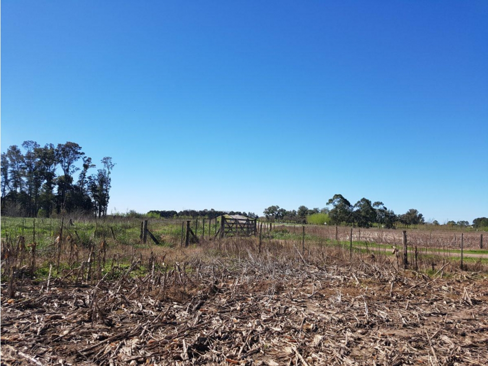 Campo de 22 hectareas a la venta en lujan proximo a acceso oeste — foto 6