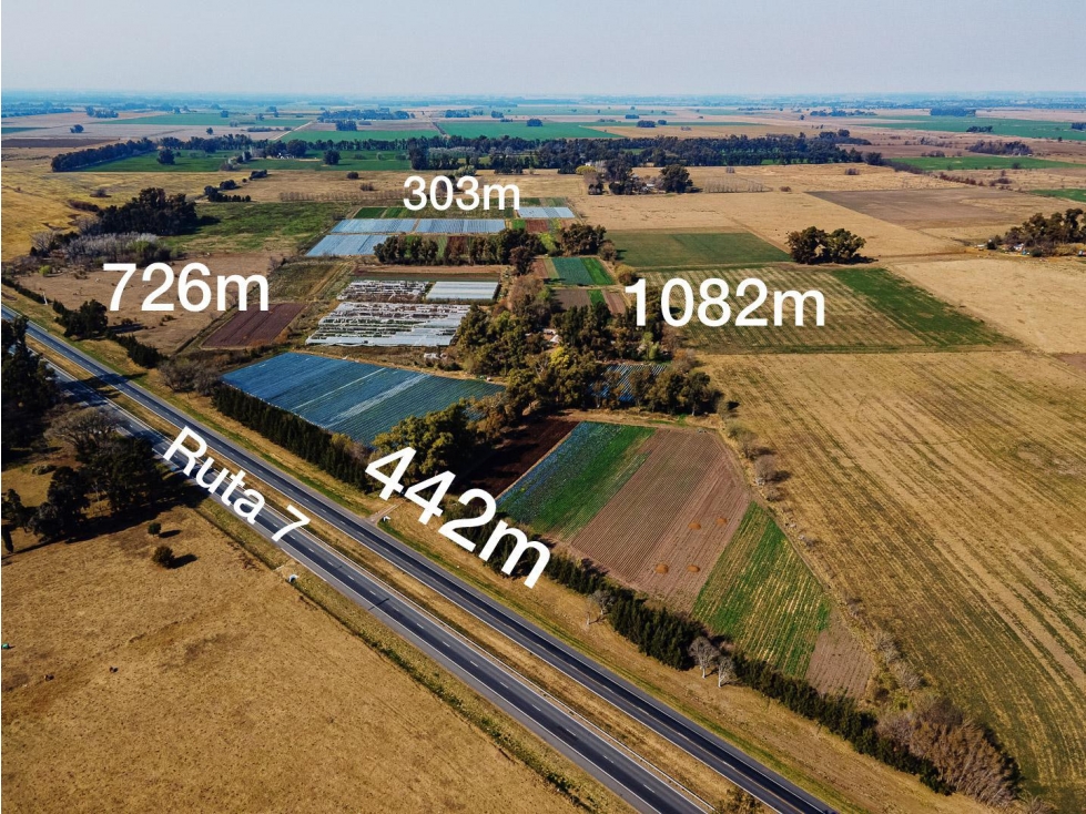 Campo de 27 hectareas a la venta sobre ruta 7 — foto 2