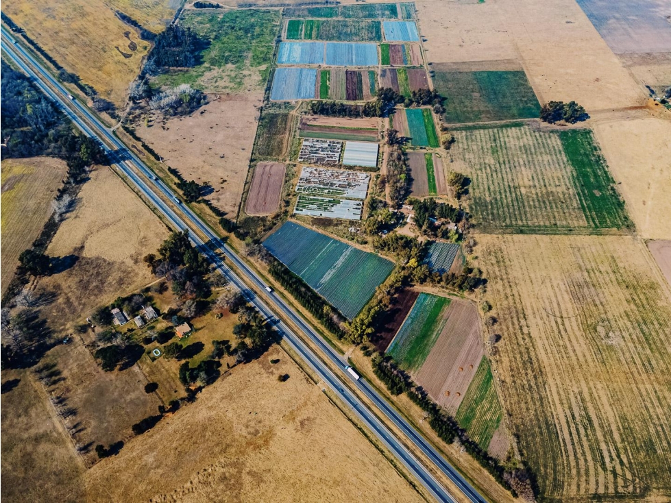 Campo de 27 hectareas a la venta sobre ruta 7 — foto 3