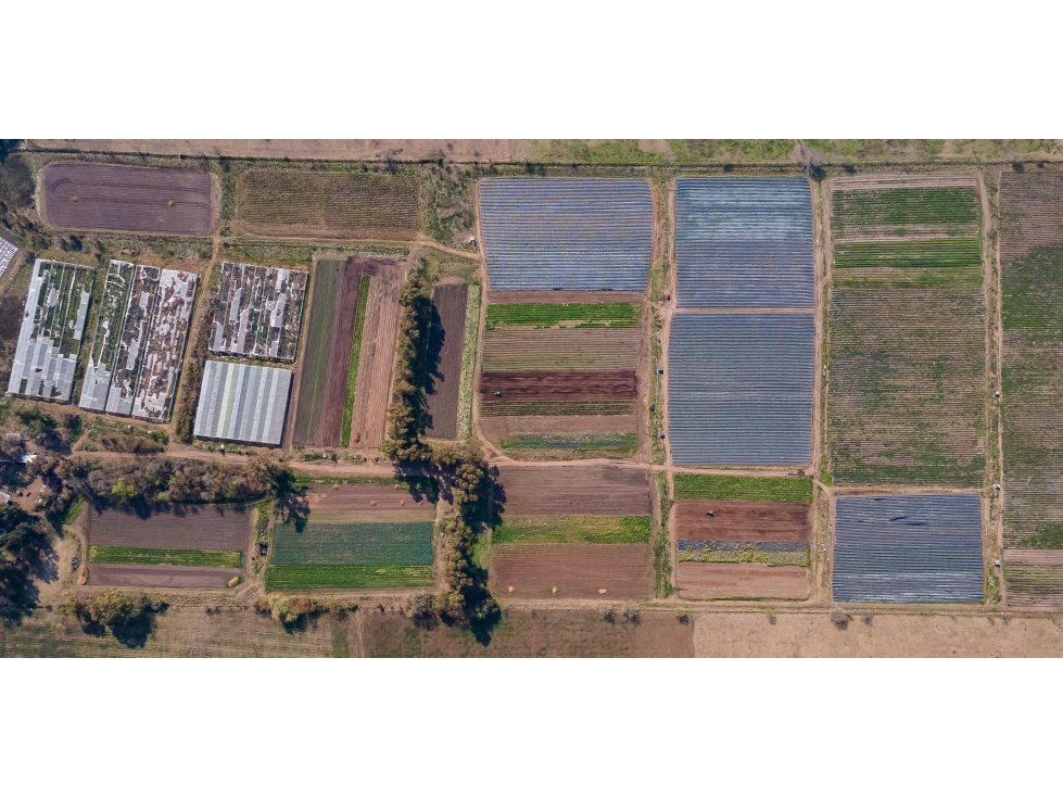 Campo de 27 hectareas a la venta sobre ruta 7 — foto 4