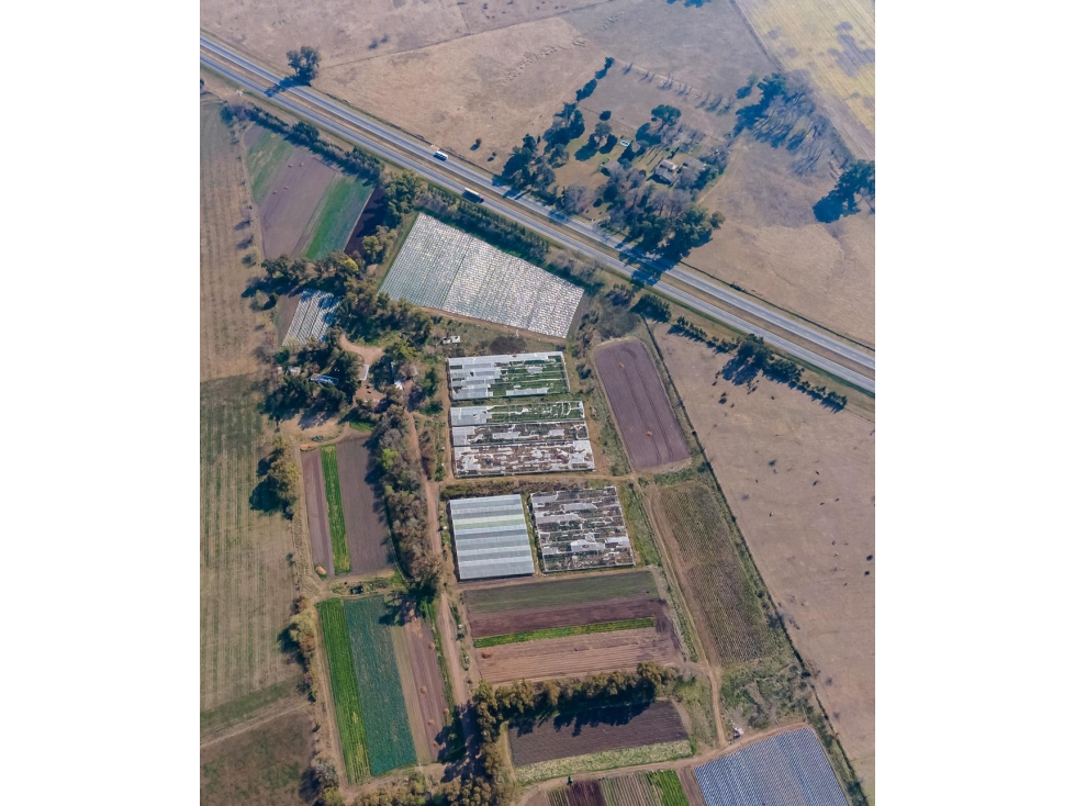 Campo de 27 hectareas a la venta sobre ruta 7 — foto 5