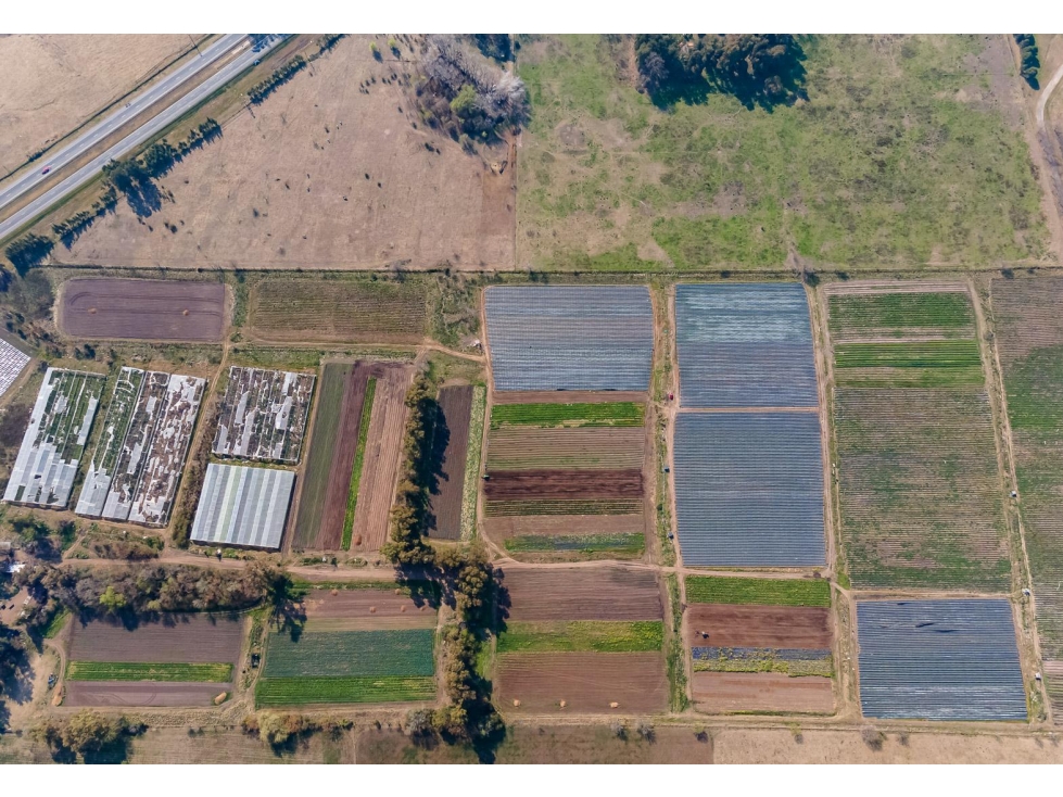 Campo de 27 hectareas a la venta sobre ruta 7 — foto 6
