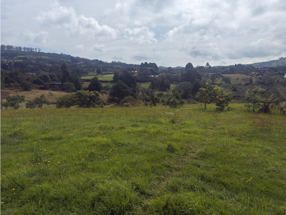 Venta de lote en las palmas, sector acuarela
